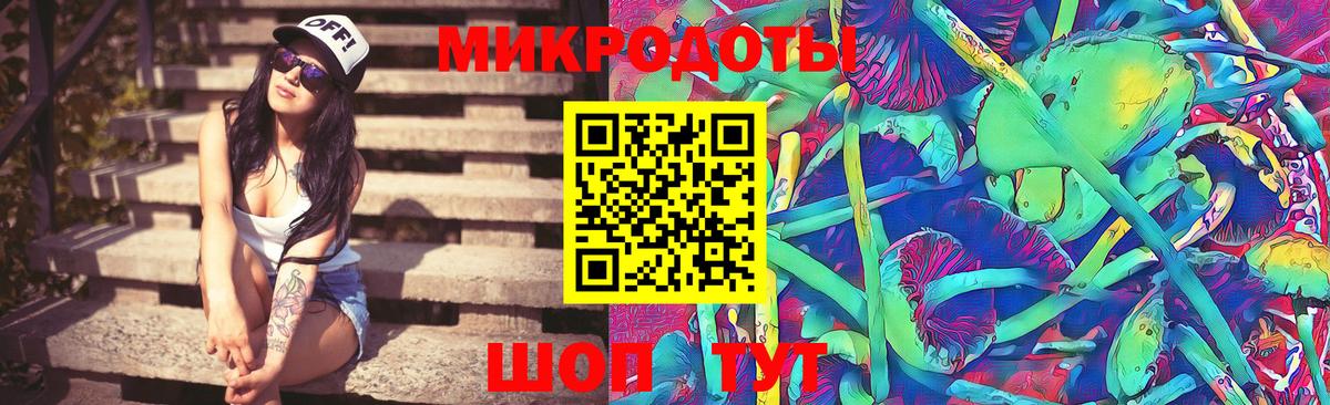 Псилоцибиновые грибы Cubensis  Вход с VPN  Солнечногорск 